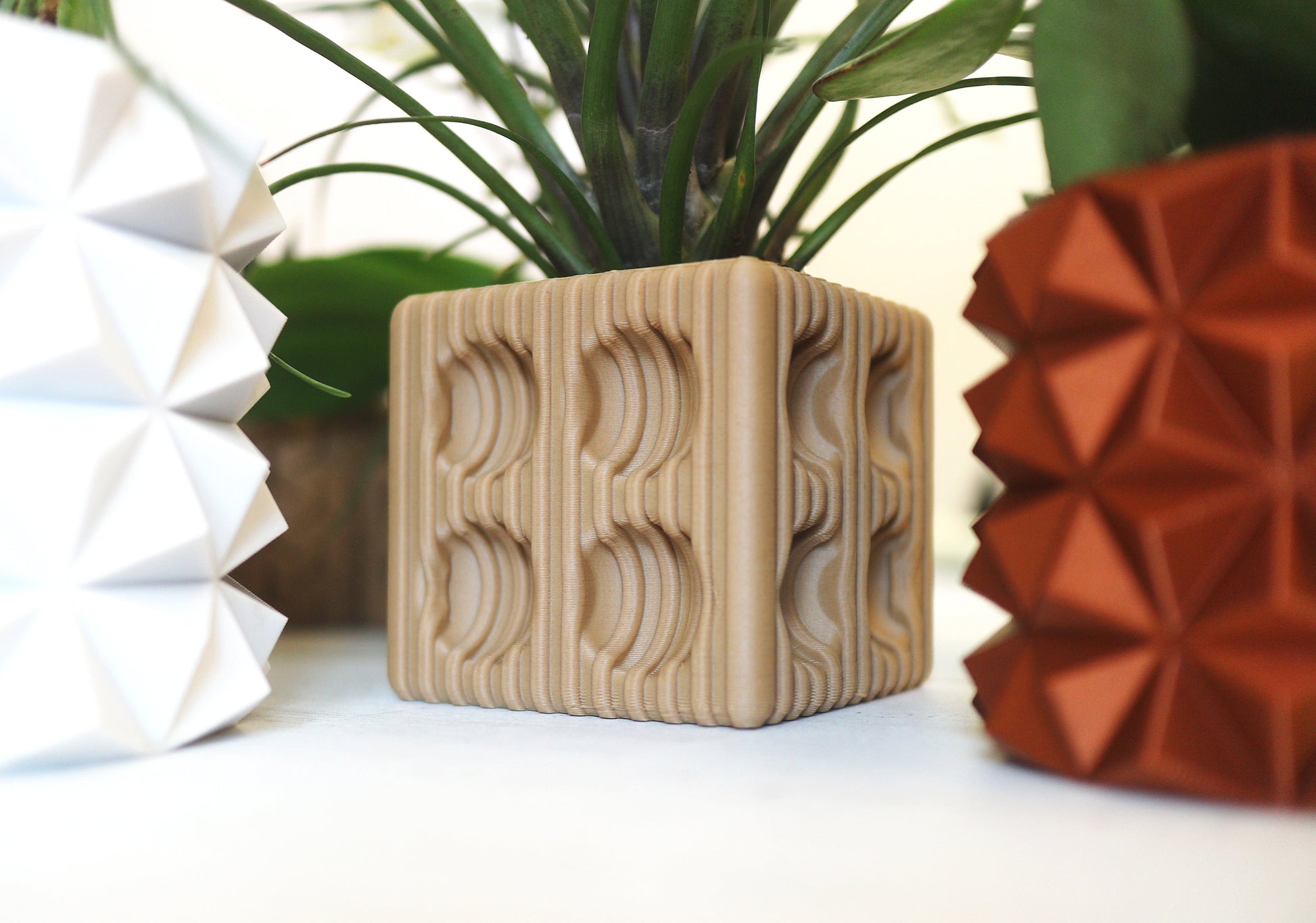 Wood Geometric Plant Pots Air Element, Earth Element, Vector 3 4 6 Inch  Planters 3D Printed 